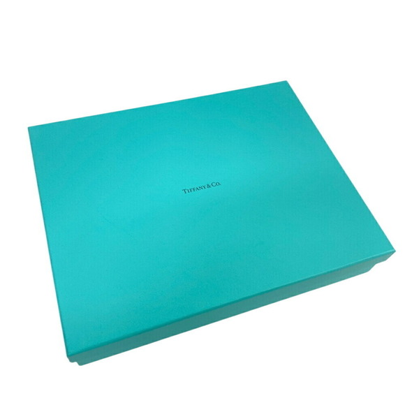 TIFFANY & Co. Cat Street Shoulder Tote Bag Blue - Picture 11 of 12